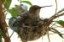 mother&babies2